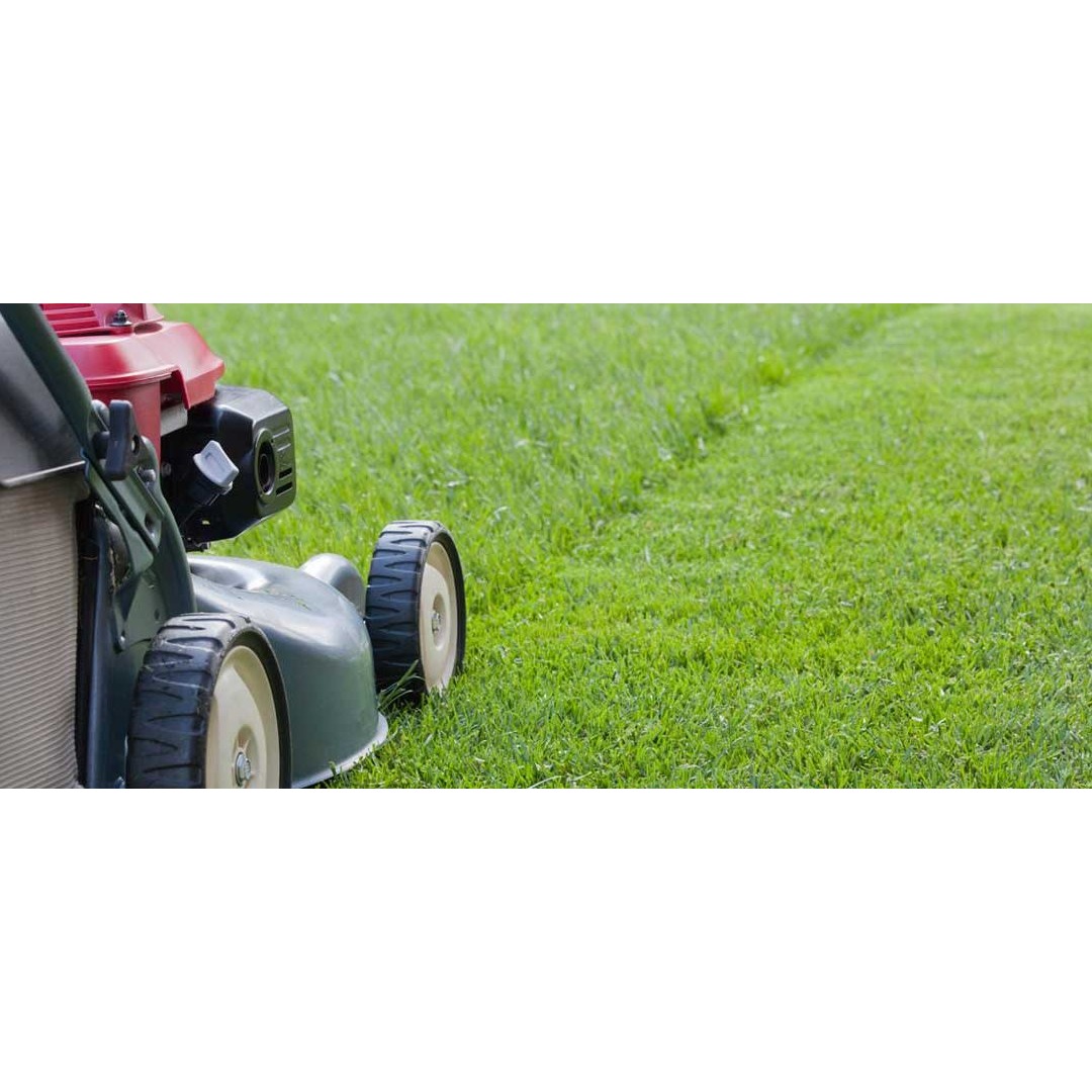 Colosimo Lawn Care Logo