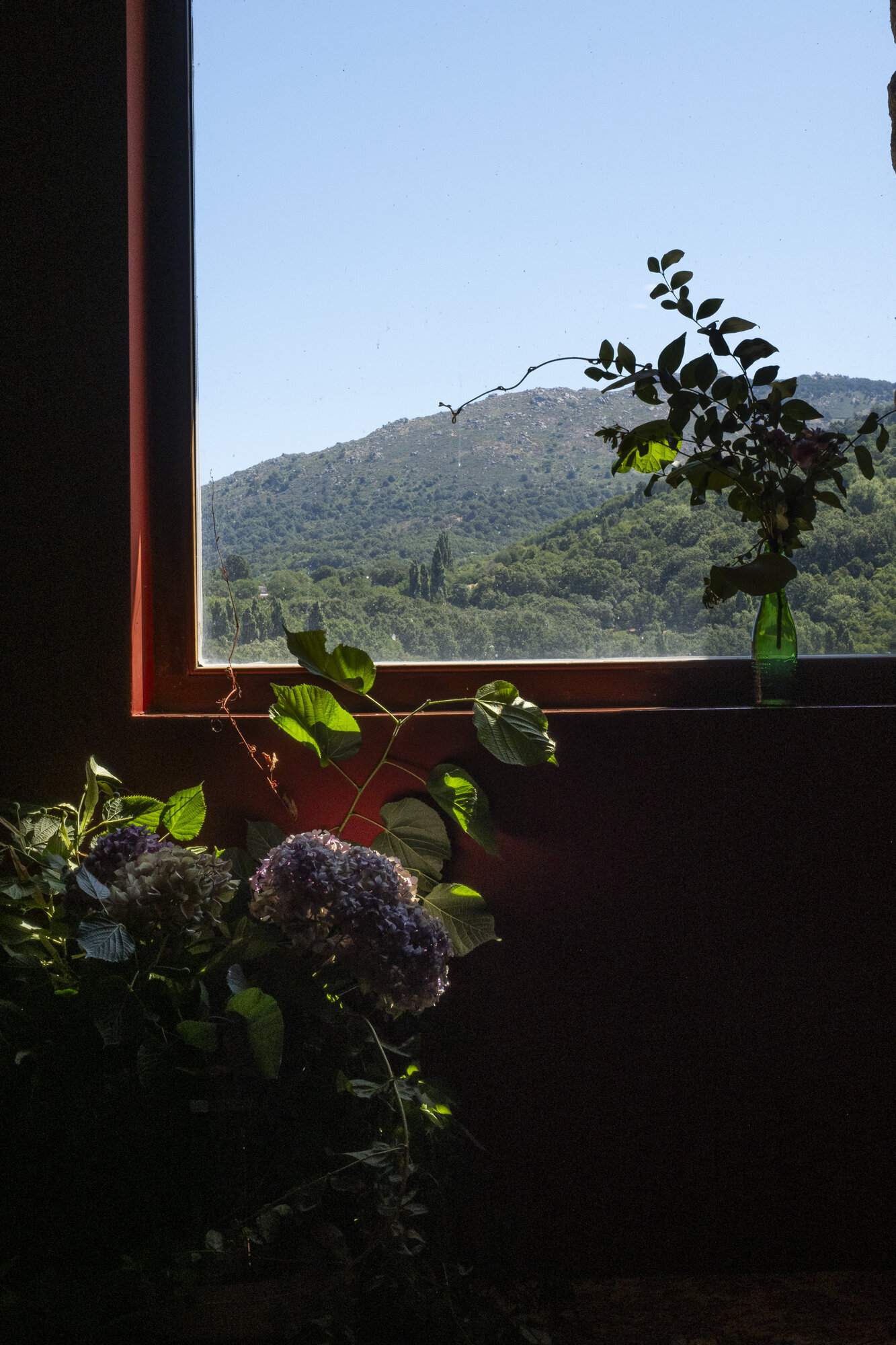 Images Hotel Rural El Jardín del Conde