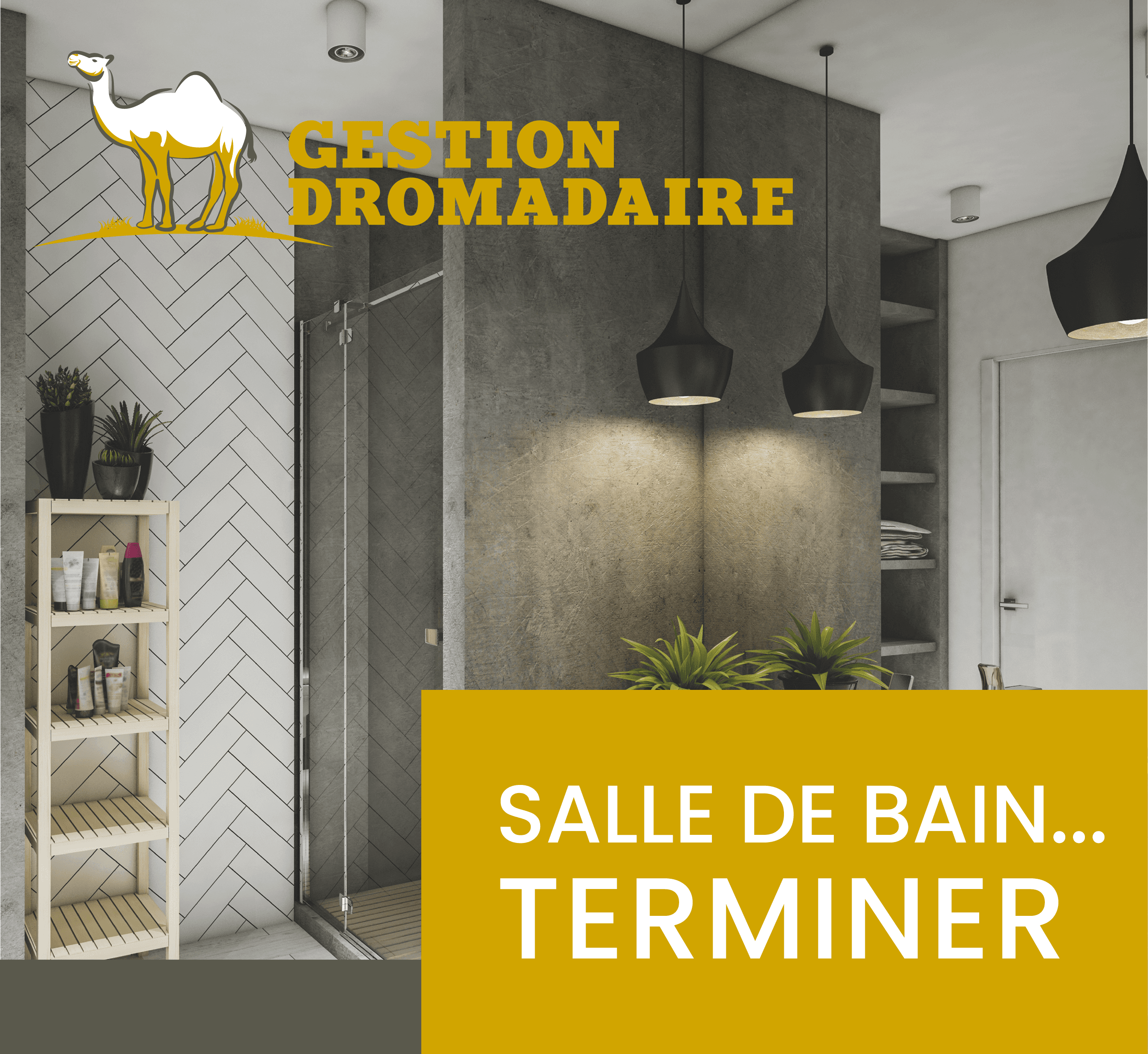 Images Gestion Dromadaire Inc