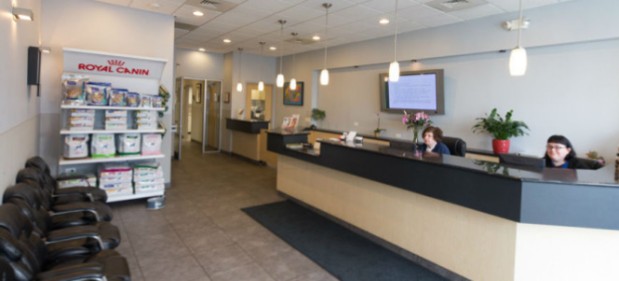 roscoe village animal hospital in chicago il 60618 roscoe village animal hospital in chicago il 60618