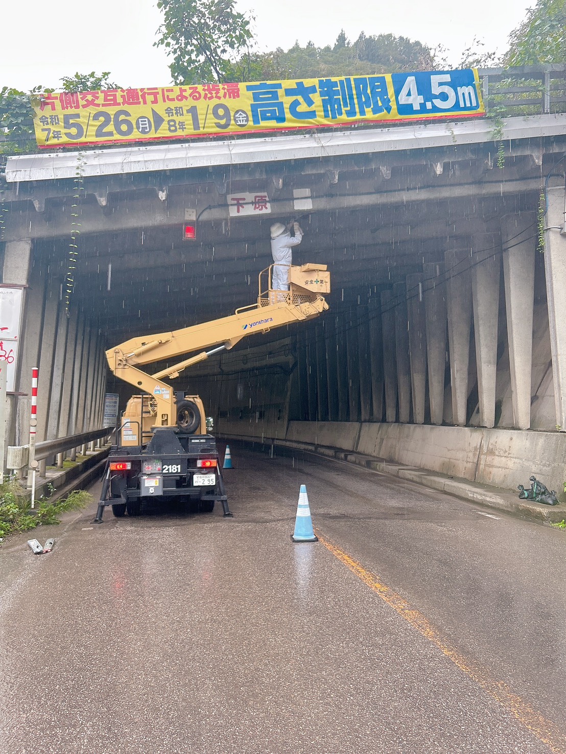 Images 富山安心駆除サービス