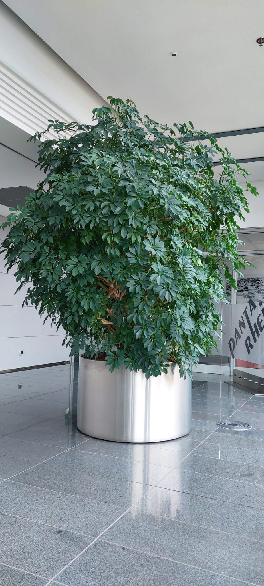 Grün im Raum Susanne Werner, An der Hohle 14 in Plauen