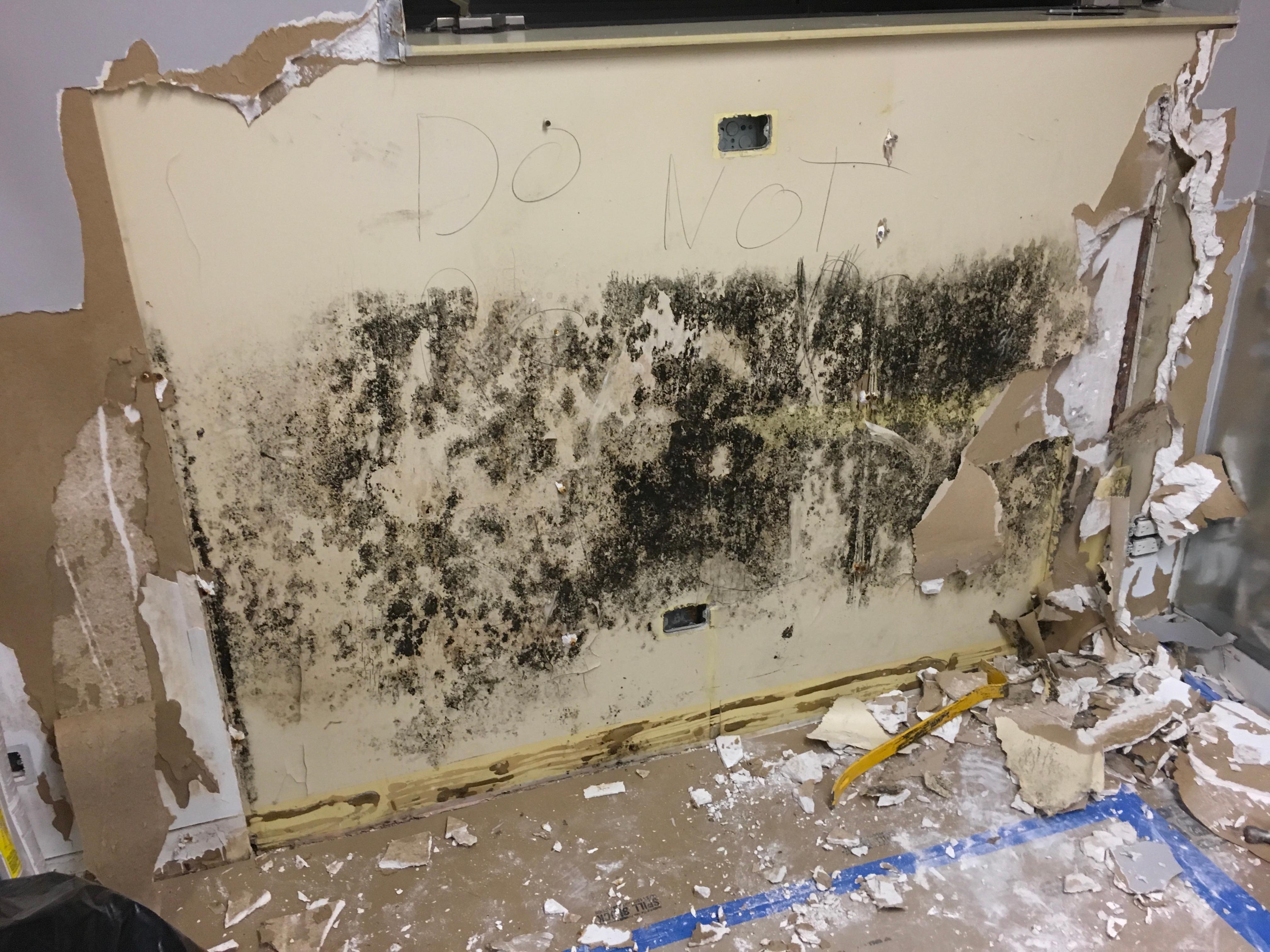 If you discover a mold infestation in your home or business. SERVPRO of Central Schaumburg/ West Bloomingdale is Here to Help.