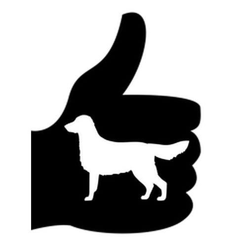 Hondzettend Flink Hondencoach Logo