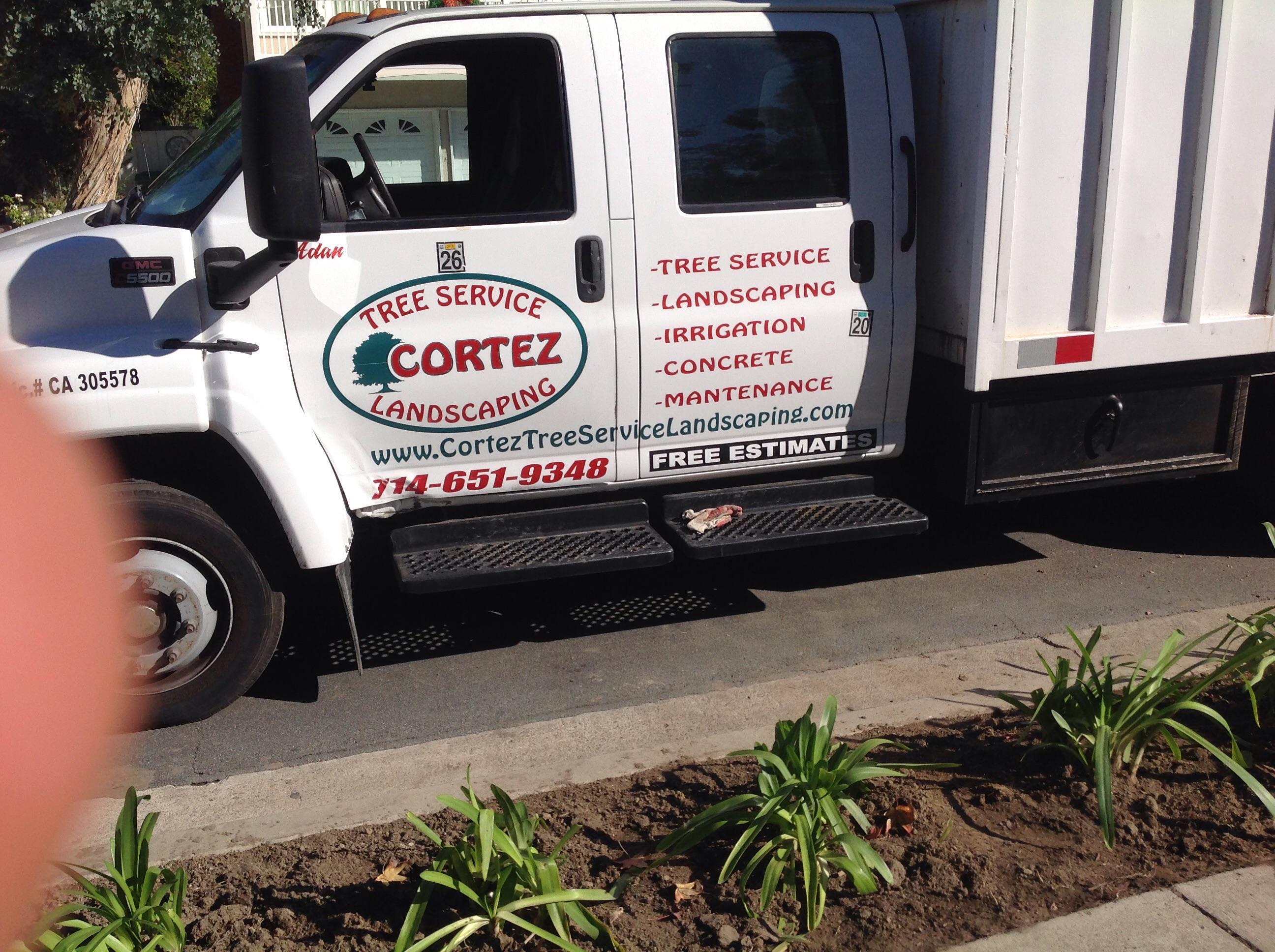 Adam Tree Service and Landscaping