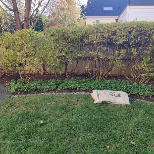 Images Johnson's Landscaping Service