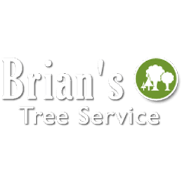 Brian's Tree Service Logo
