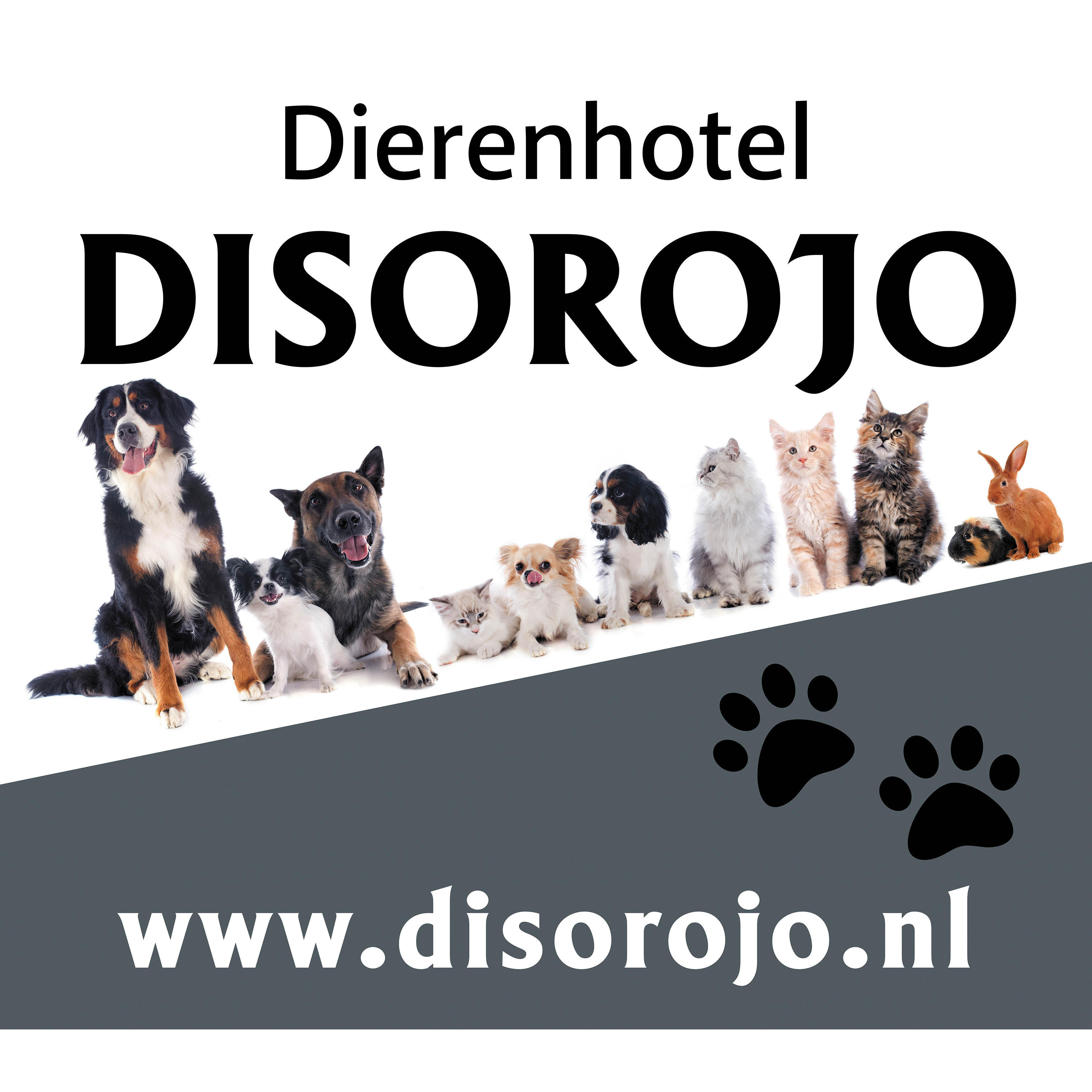 Dierenhotel Disorojo Logo