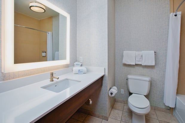 Images Holiday Inn Express & Suites Auburn Hills by IHG