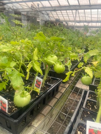 Images Puritas Nursery & Garden Center