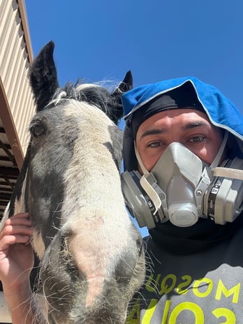 Images Mosquito Squad of The East Valley