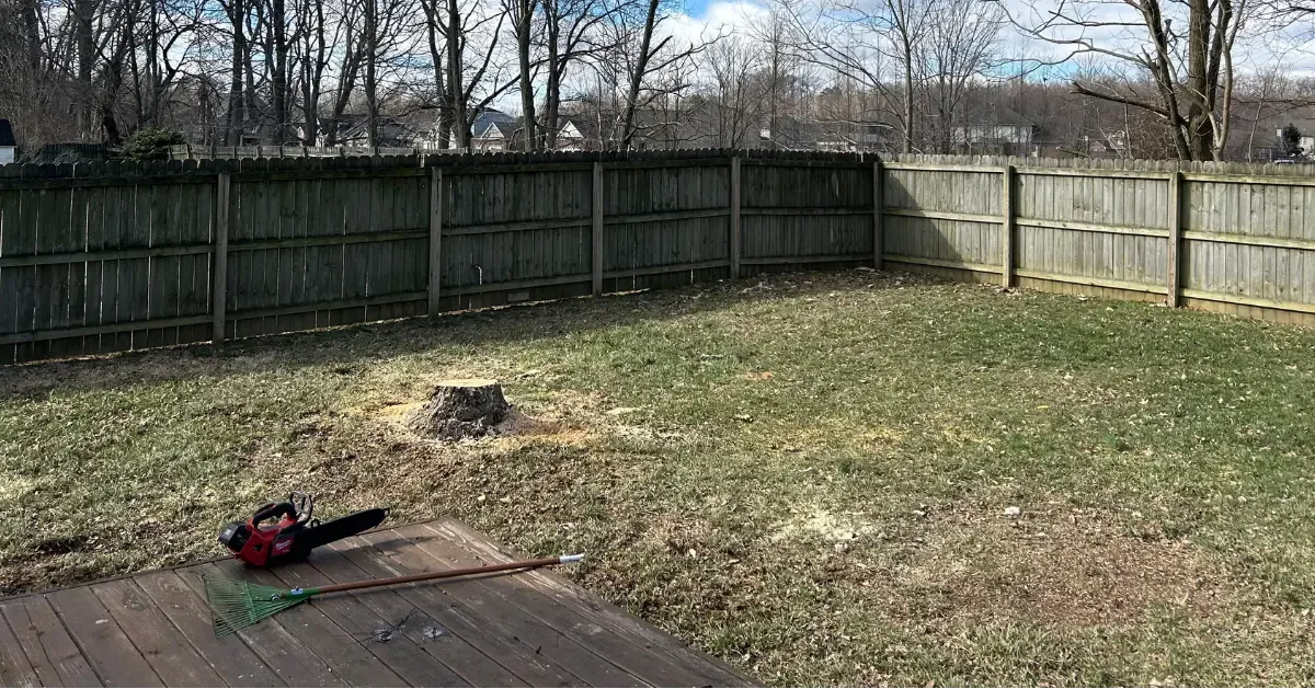 Tree Cutting Service in Evansville, IN