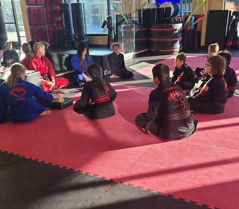 "Creativity is intelligence having fun. " Albert Einstein. 
Knowledge is important. But being creative is what allows us to do wonderful new things. This month at Dojo Karate Maple Grove, we are teaching our students that using our imagination to turn our dreams into reality is within their control.
