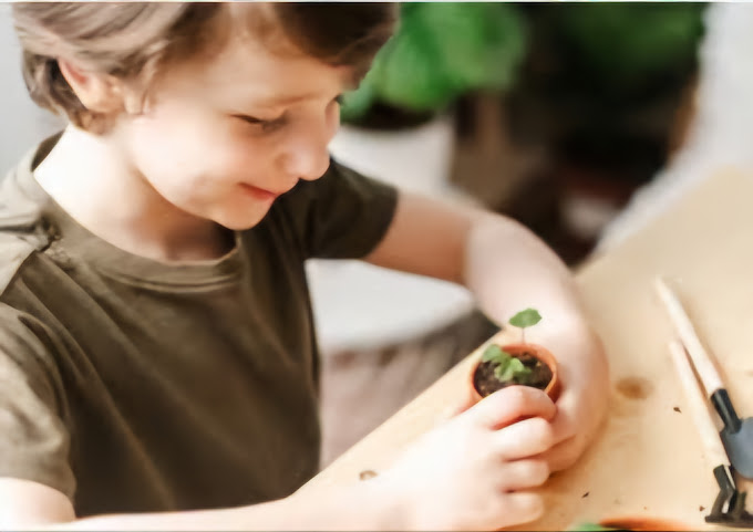 Hands-On Home Skills with Brittany Image