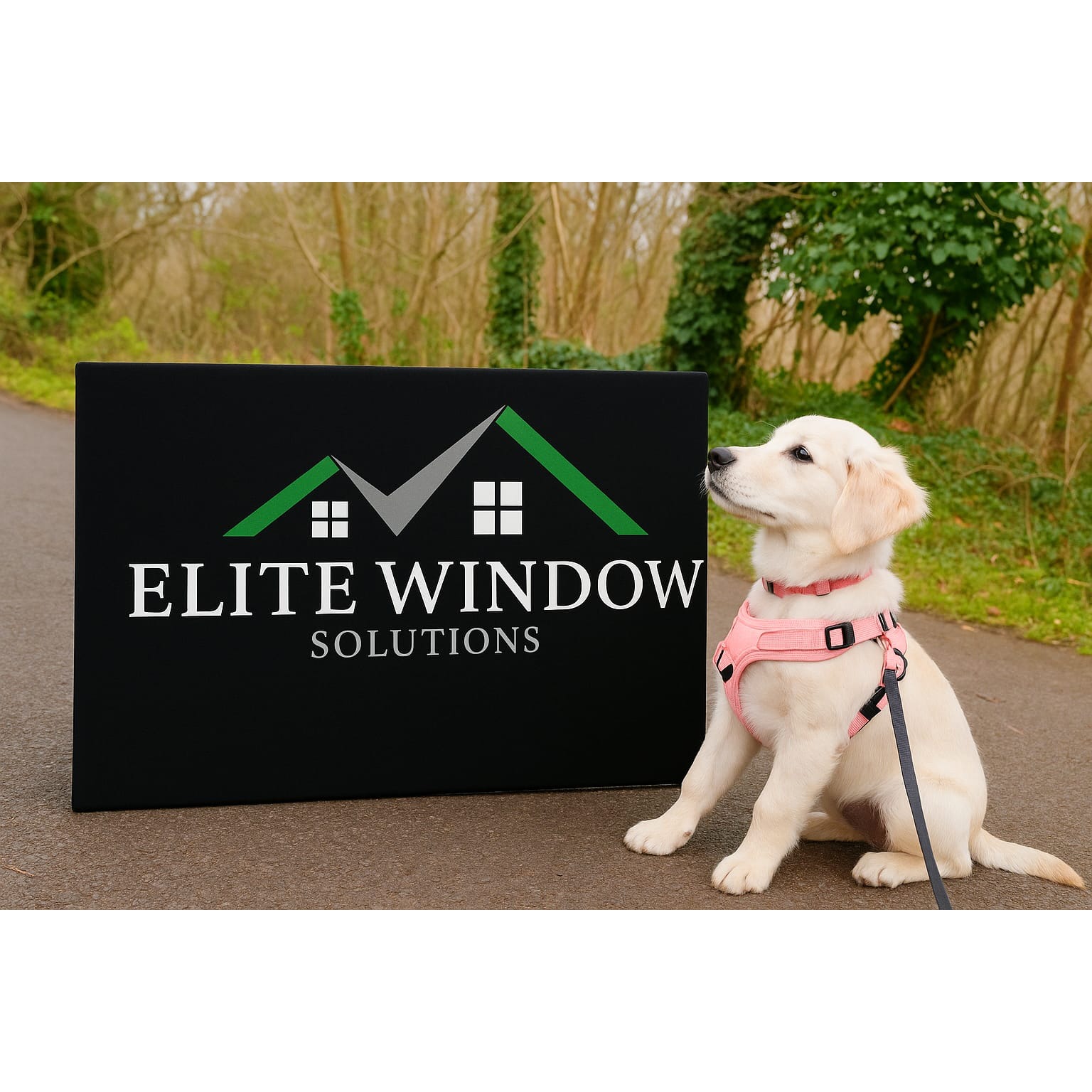 Elite Window Solutions
