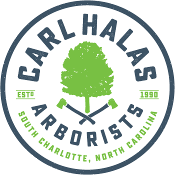 Halas Arborists Logo
