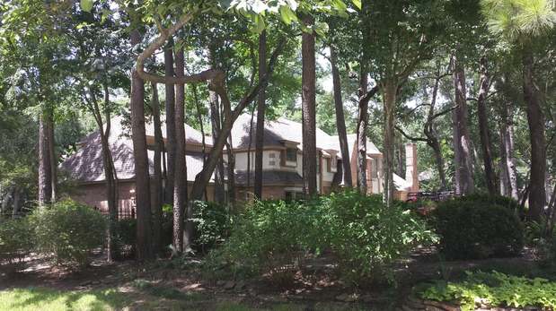 Images TNT Tree Service