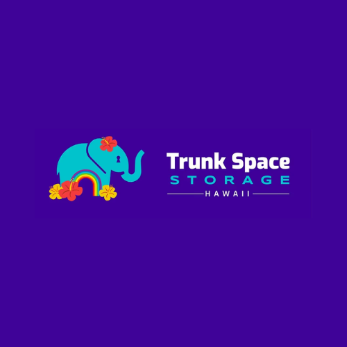 Trunk Space Storage