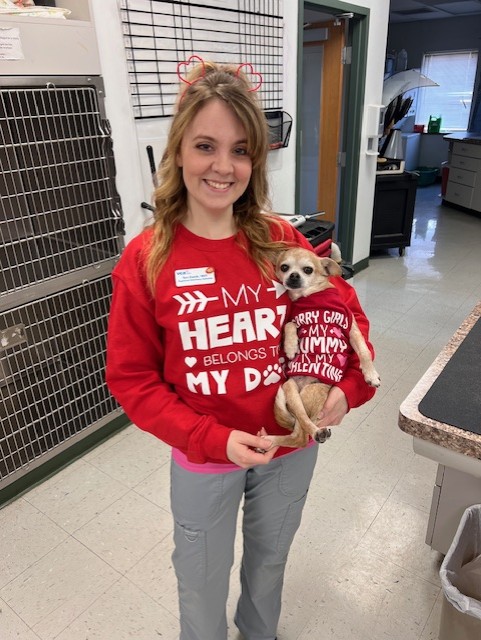 Images VCA Green Animal Hospital