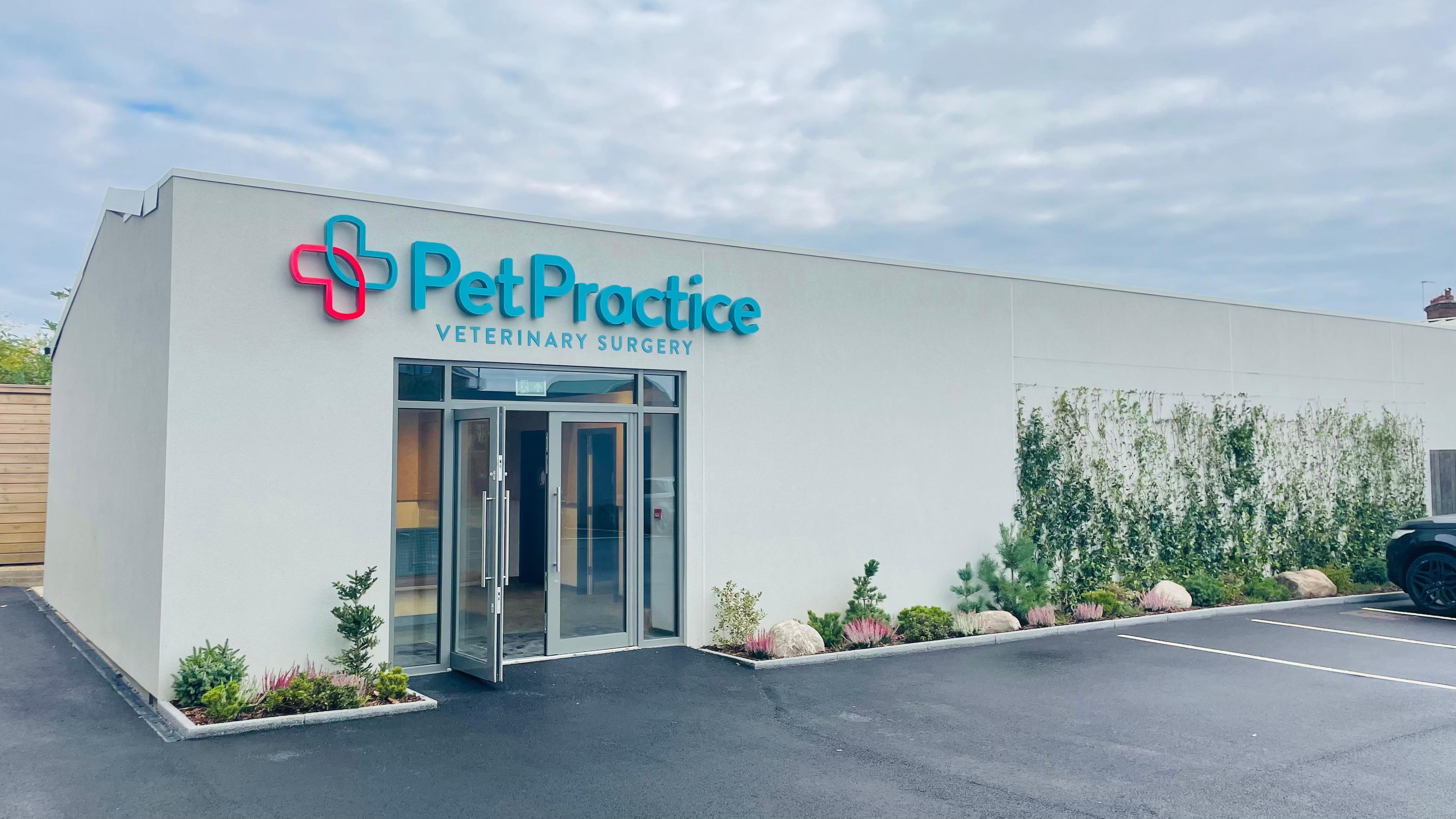 Images Pet Practice Veterinary Surgery
