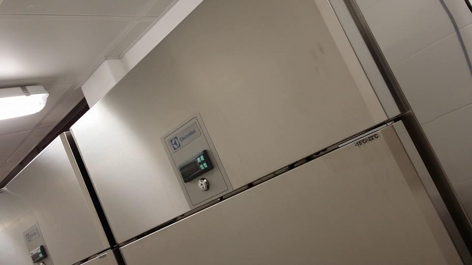 Cleandevil GmbH, Hubstrasse 101 in Wil SG