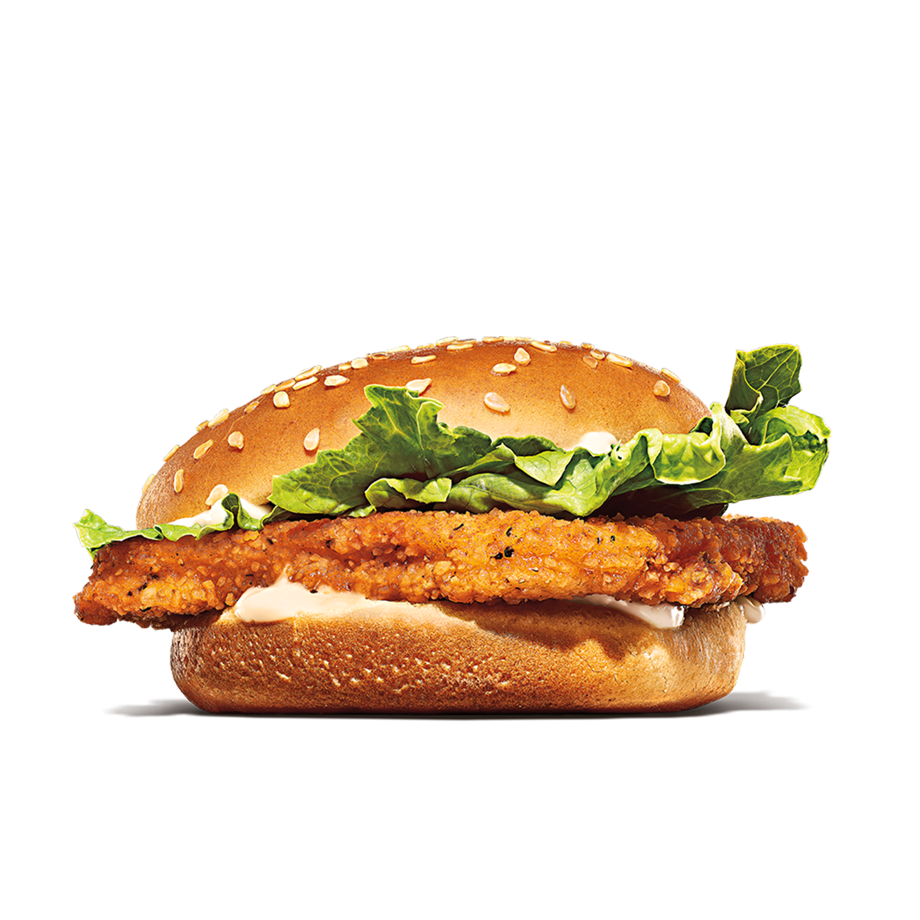 Burger King Rockland (781)878-6717