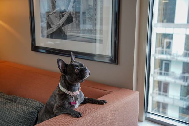 Images Homewood Suites by Hilton Chicago West Loop Fulton Market Area