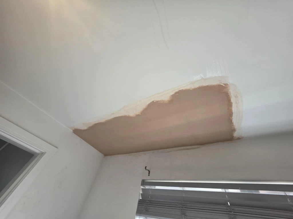 Images CD Plastering