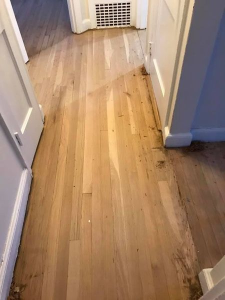 Images Pillar Wood Floors