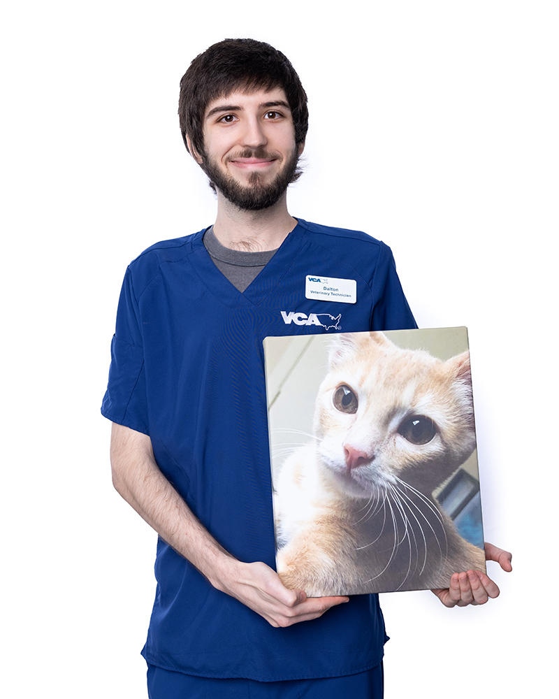 Image 6 | VCA Health Associates Animal Hospital