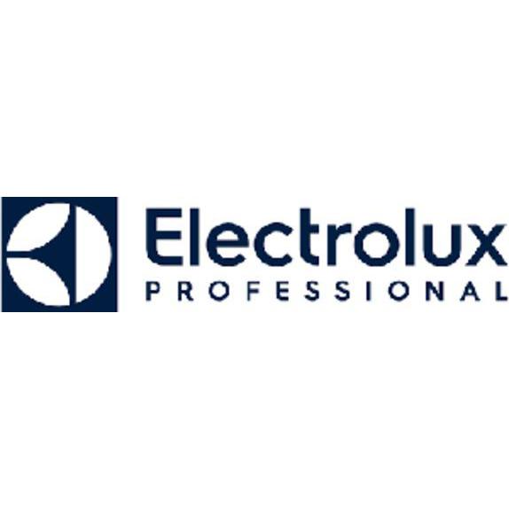 Electrolux Professional AB (Publ) Logo