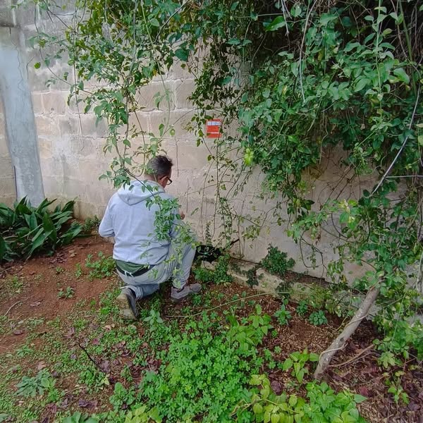 Images Impresa di Pulizie e Disinfestazione Cam Service