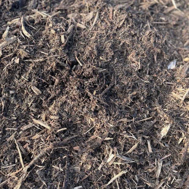 Images Kodiak Tree Service