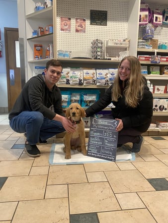 Images VCA Baring Boulevard Animal Hospital