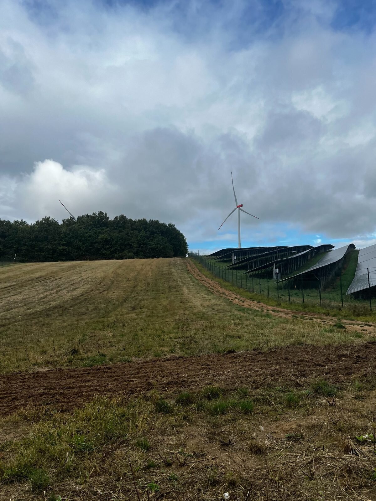 Rasch-Bau, Hollerstaude 4 in Werneck