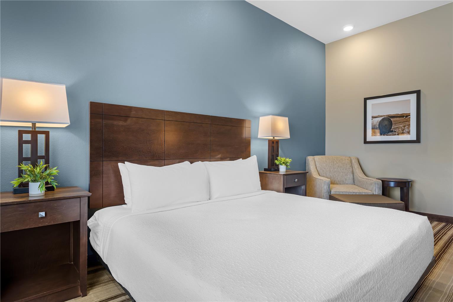 ADA King Room