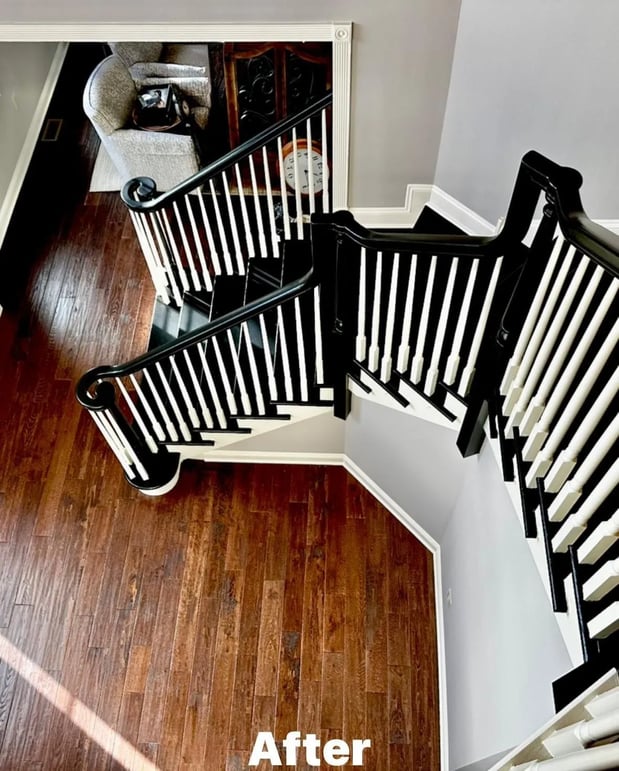 Images Pro Painters Plus