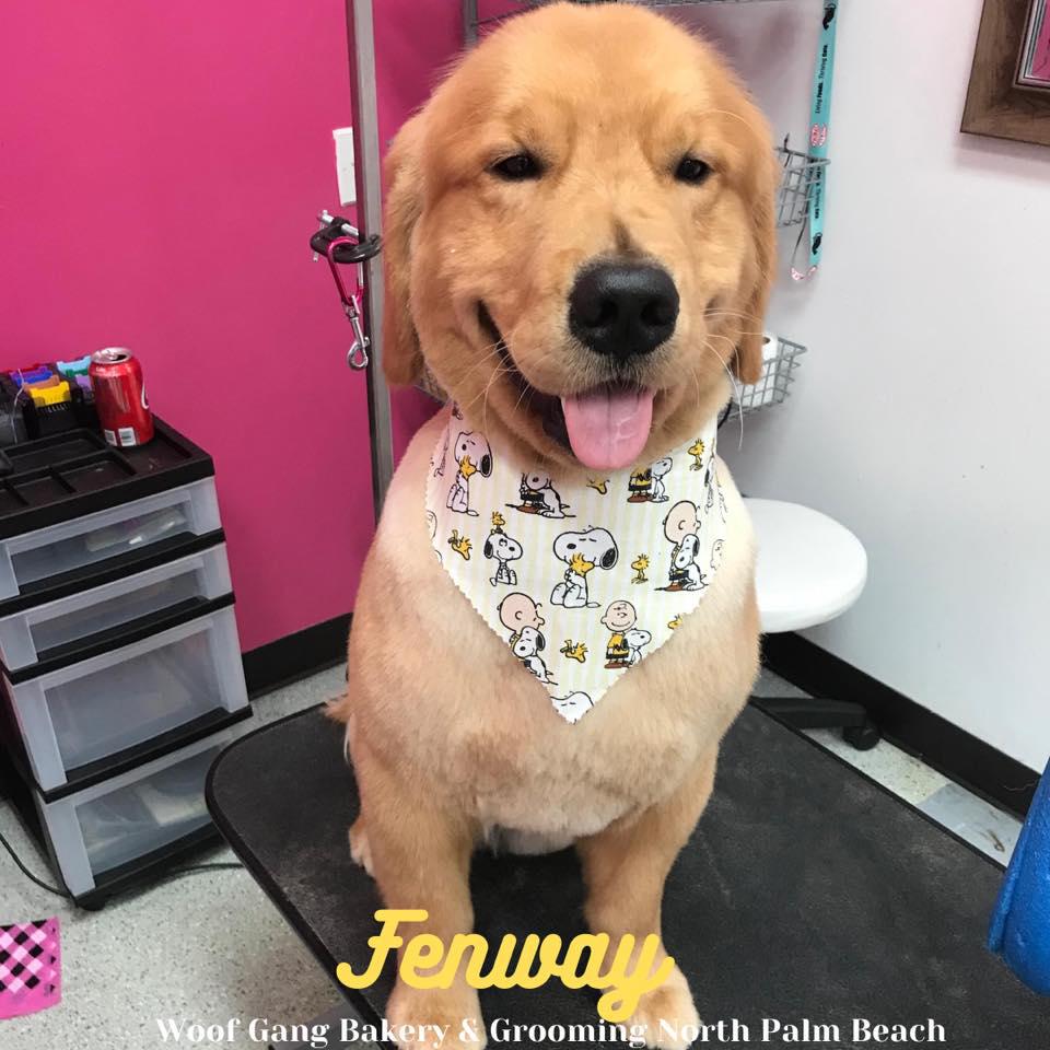 Woof Gang Bakery & Grooming North Palm Beach Photo