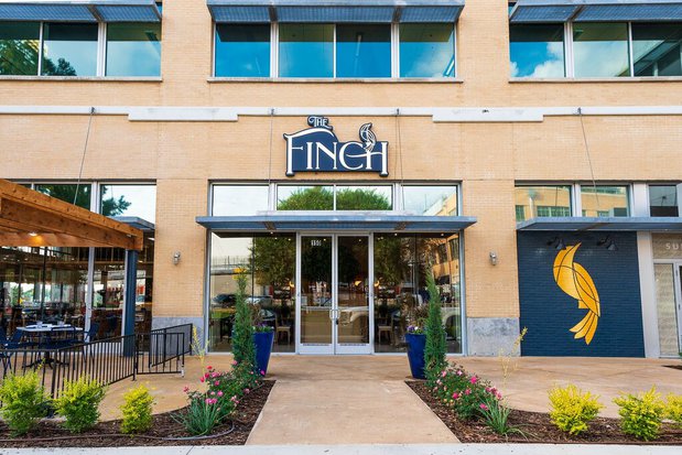 Images The Finch