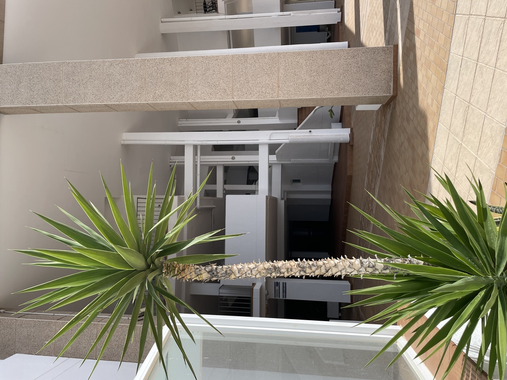 Images Tru Travel Estate Spain Sl