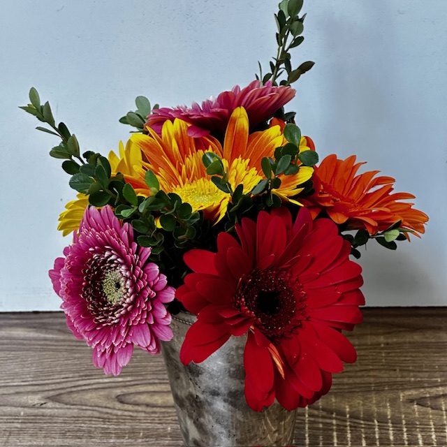 Images Jane's Roses & Flowers
