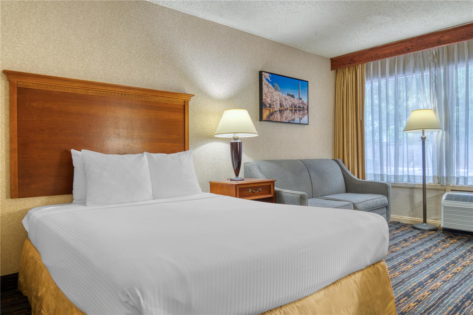 ADA Single Queen Room