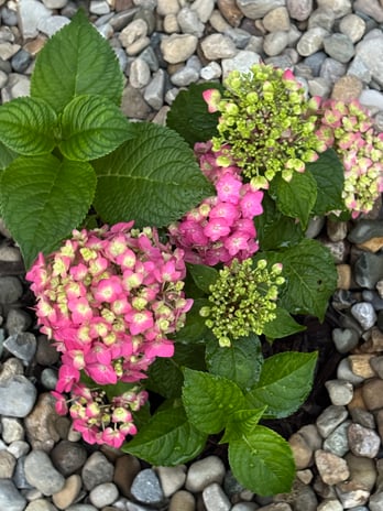 Images Brent Maudlin - State Farm Insurance Agent