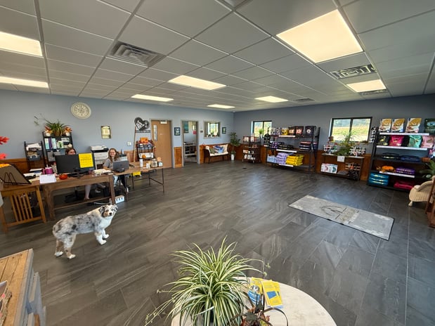 Images Marcie's Pet Spa