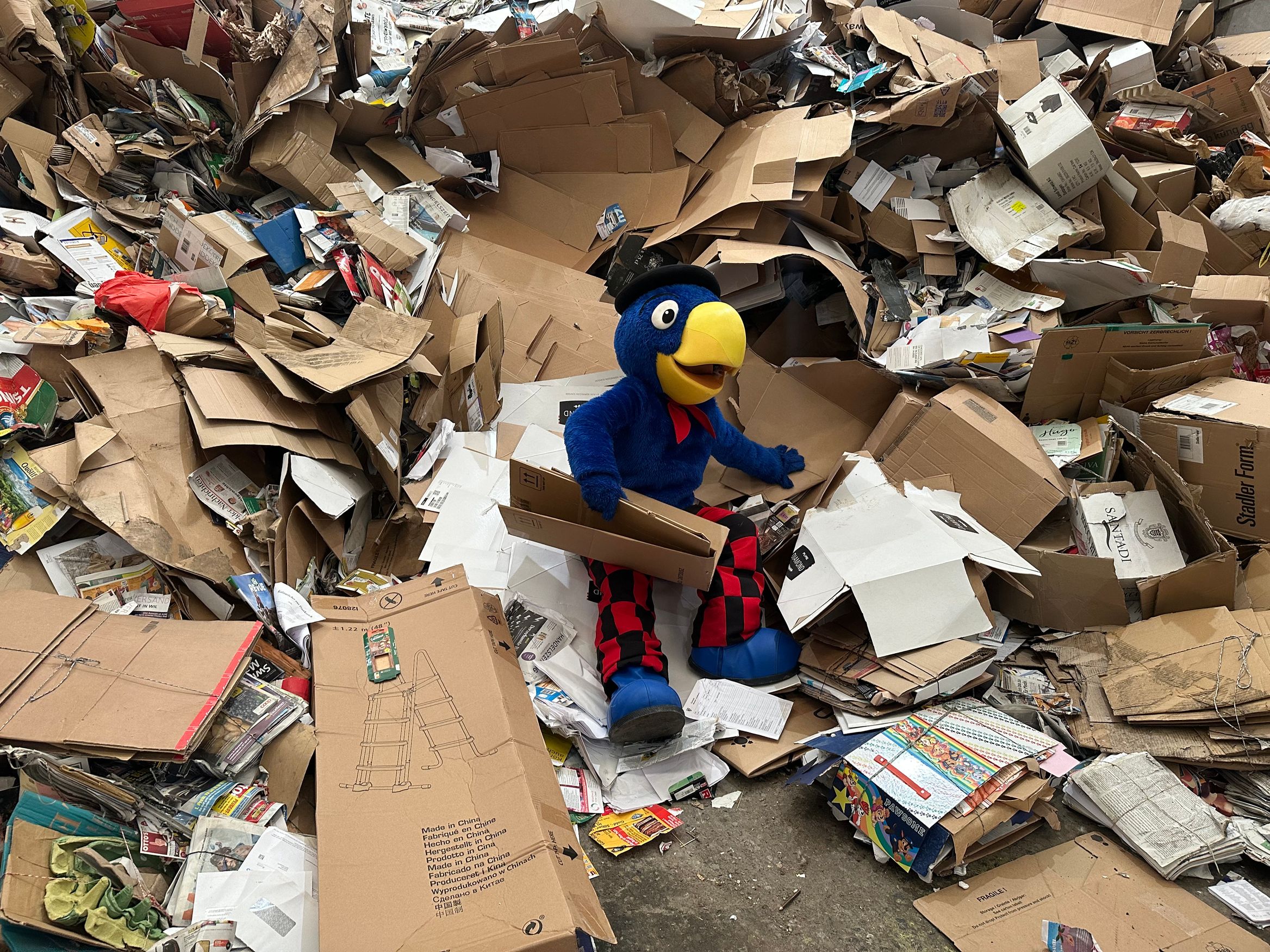 Bilder Zweckverband Abfallverwertung Bazenheid