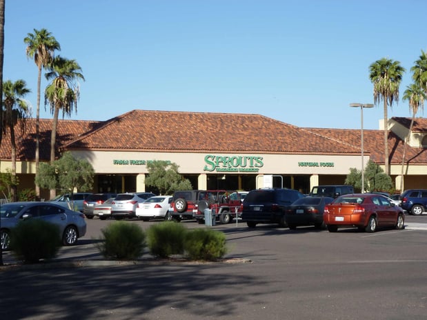 Images Southern Palms