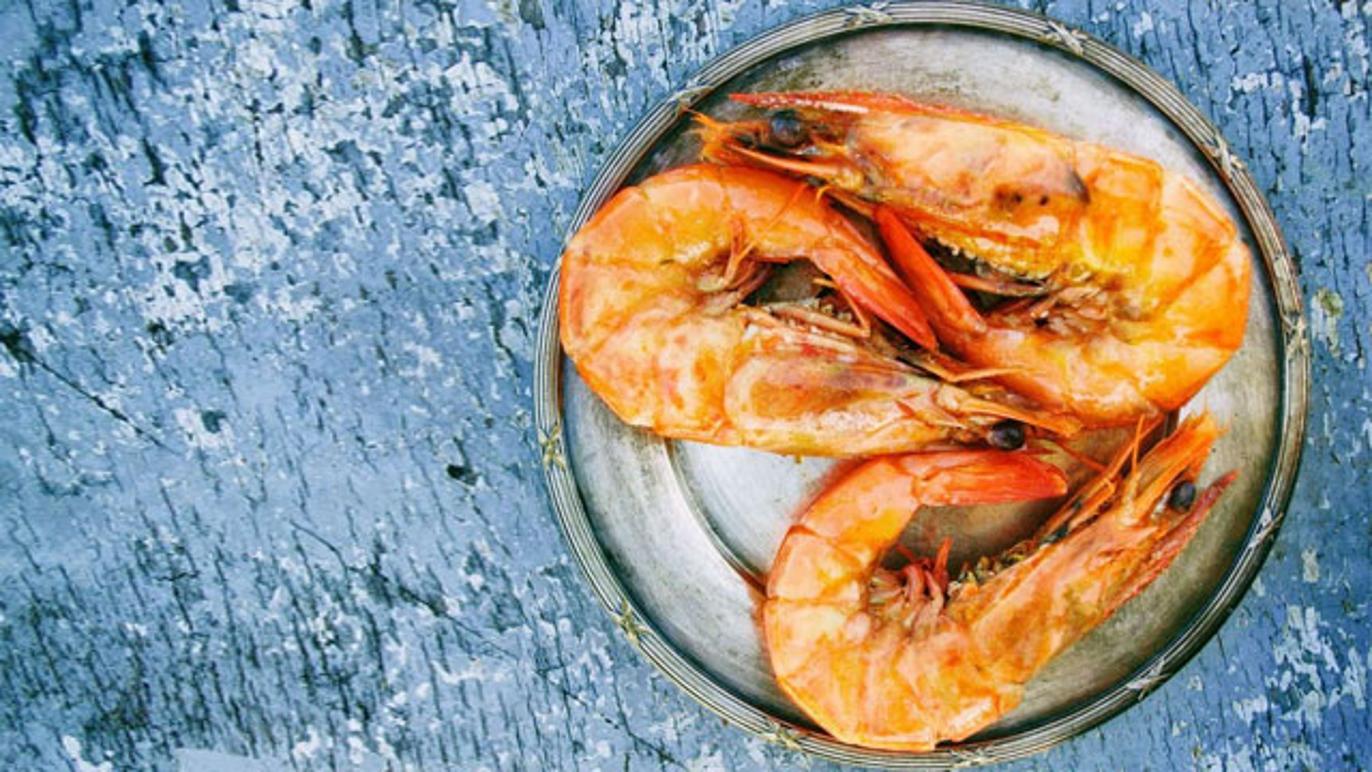 Images Edward Johnsen AS