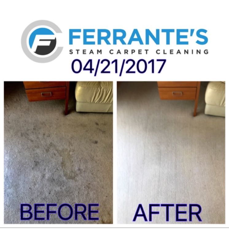 Images Ferrante's Steam Carpet Cleaning