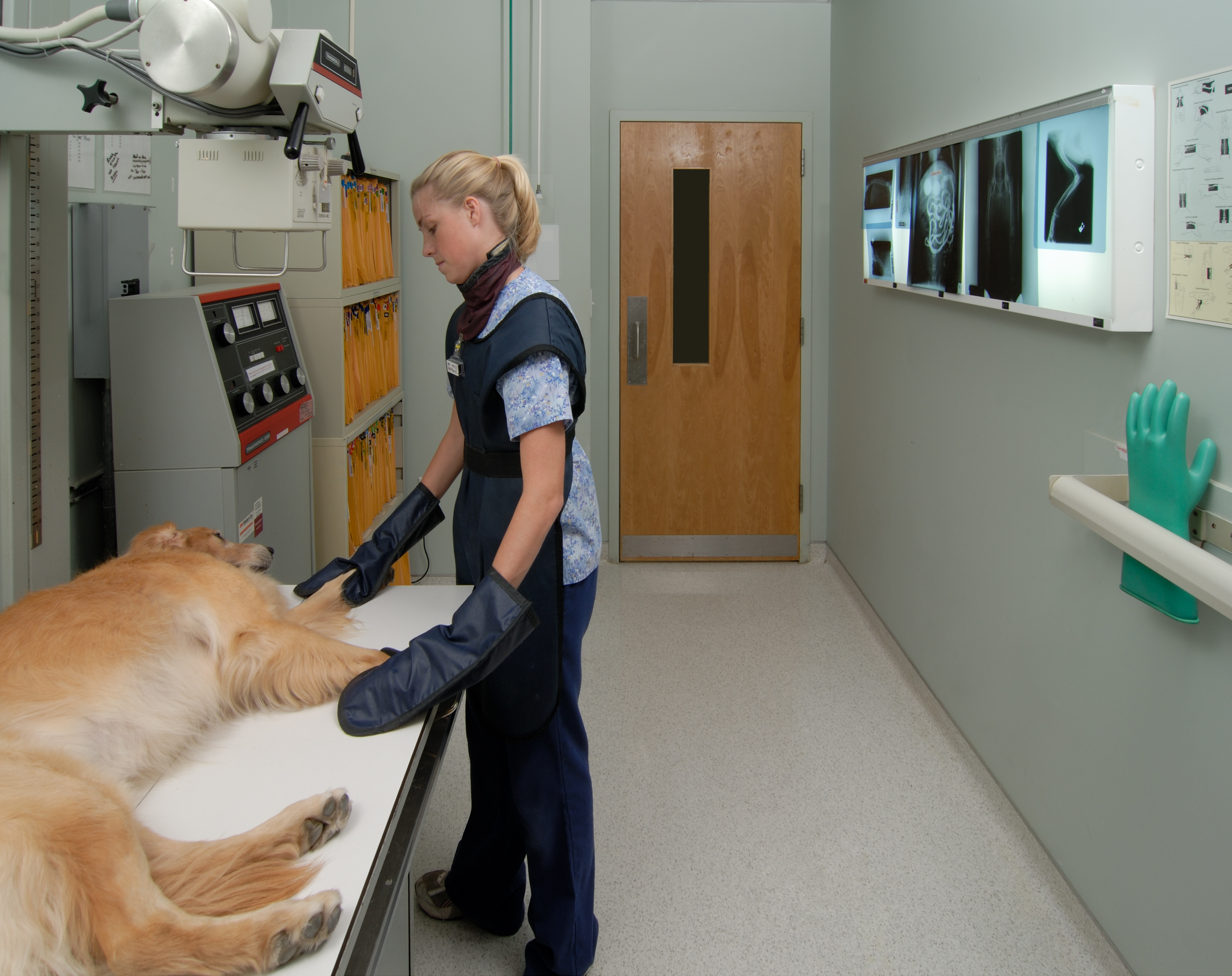X-ray Room VCA Stoney Creek Animal Hospital Charlotte (704)954-8646