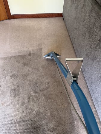 Images Best Carpet Cleaning
